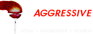 Aggressive Plumbing, Inc. home